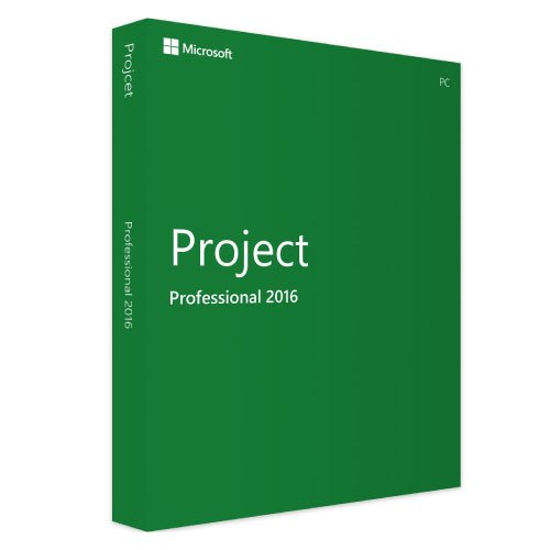 Microsoft Project 2016 Professional