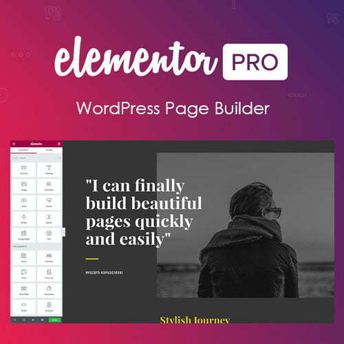 elementor pro wordpress page builder lalicenza