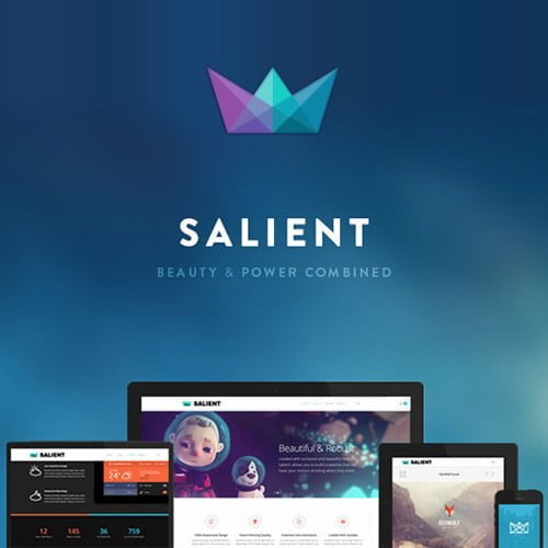 salient responsive multi purpose theme lalicenza
